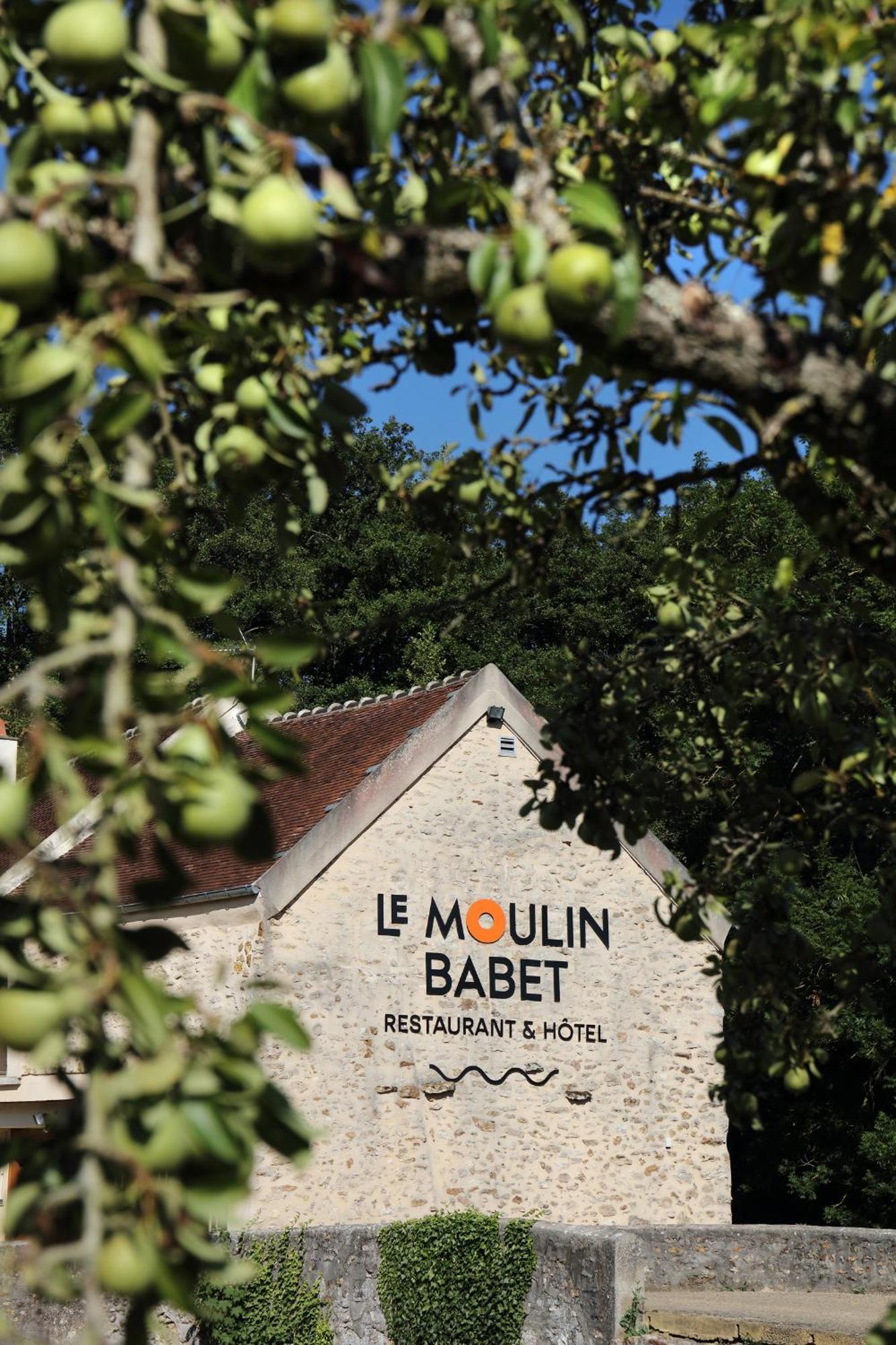 Le Moulin Babet Hotell Mézy-Moulins Eksteriør bilde